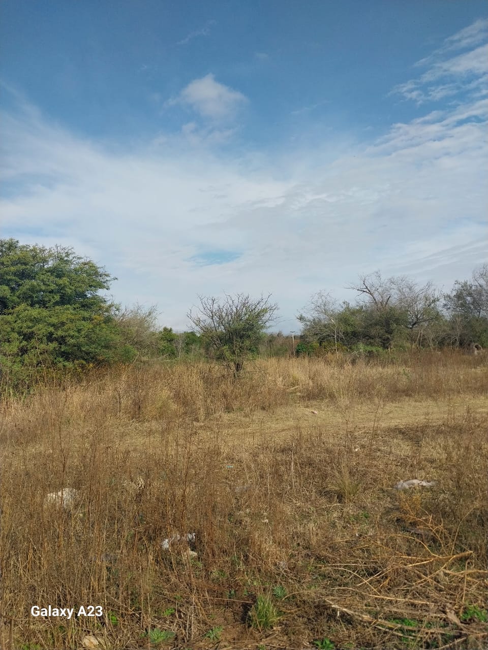 6 HECTAREAS A LA VENTA